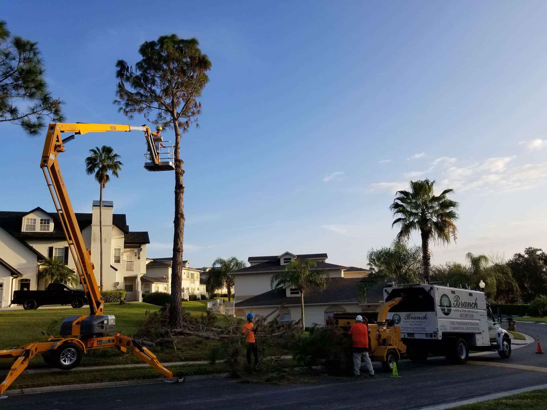 Tree Removal - Magnolia Pointe - Clermont, FL