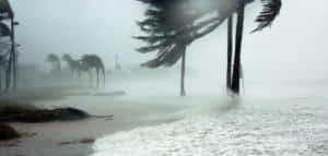 Florida Hurricane Season