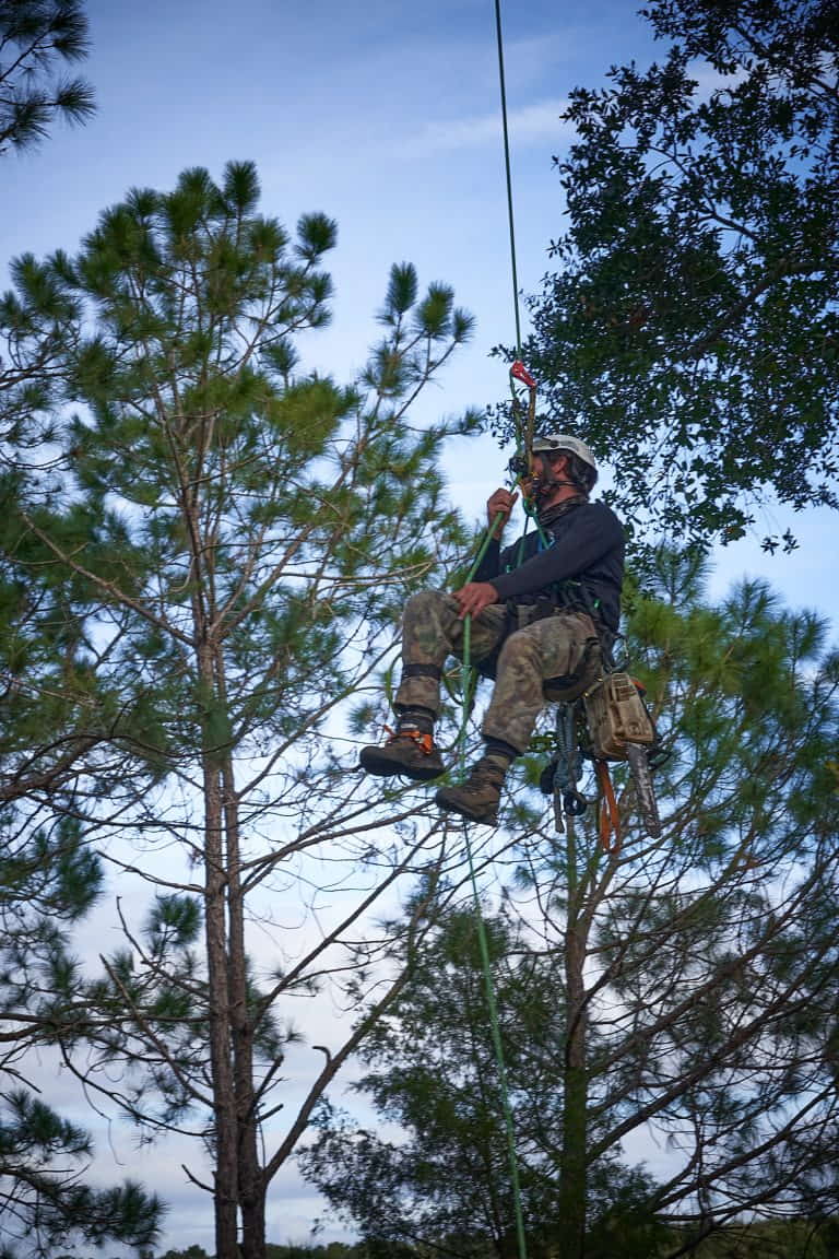 Ethan Climbing