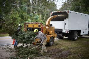 The Ground Crew Chipping