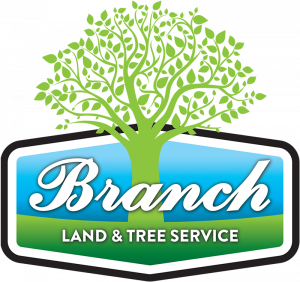 Branch Land and Tree Services